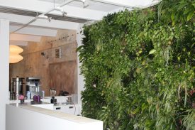 hochzeit Schorndorf 015