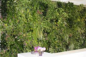 hochzeit Schorndorf 028